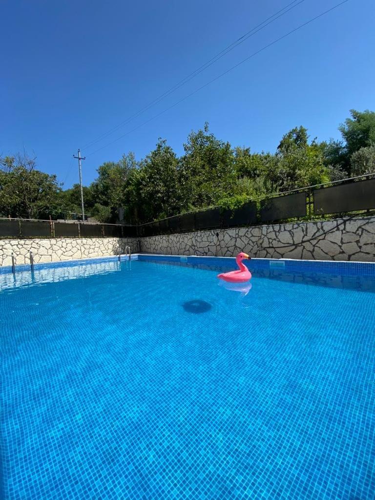 Park-Hotel Abkhazia Tsandrypsh Εξωτερικό φωτογραφία