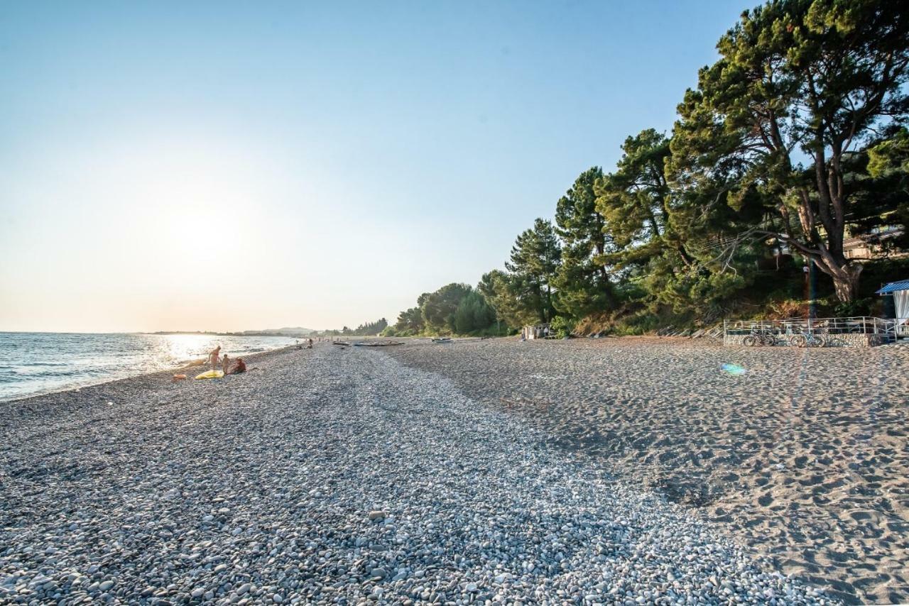 Park-Hotel Abkhazia Tsandrypsh Εξωτερικό φωτογραφία