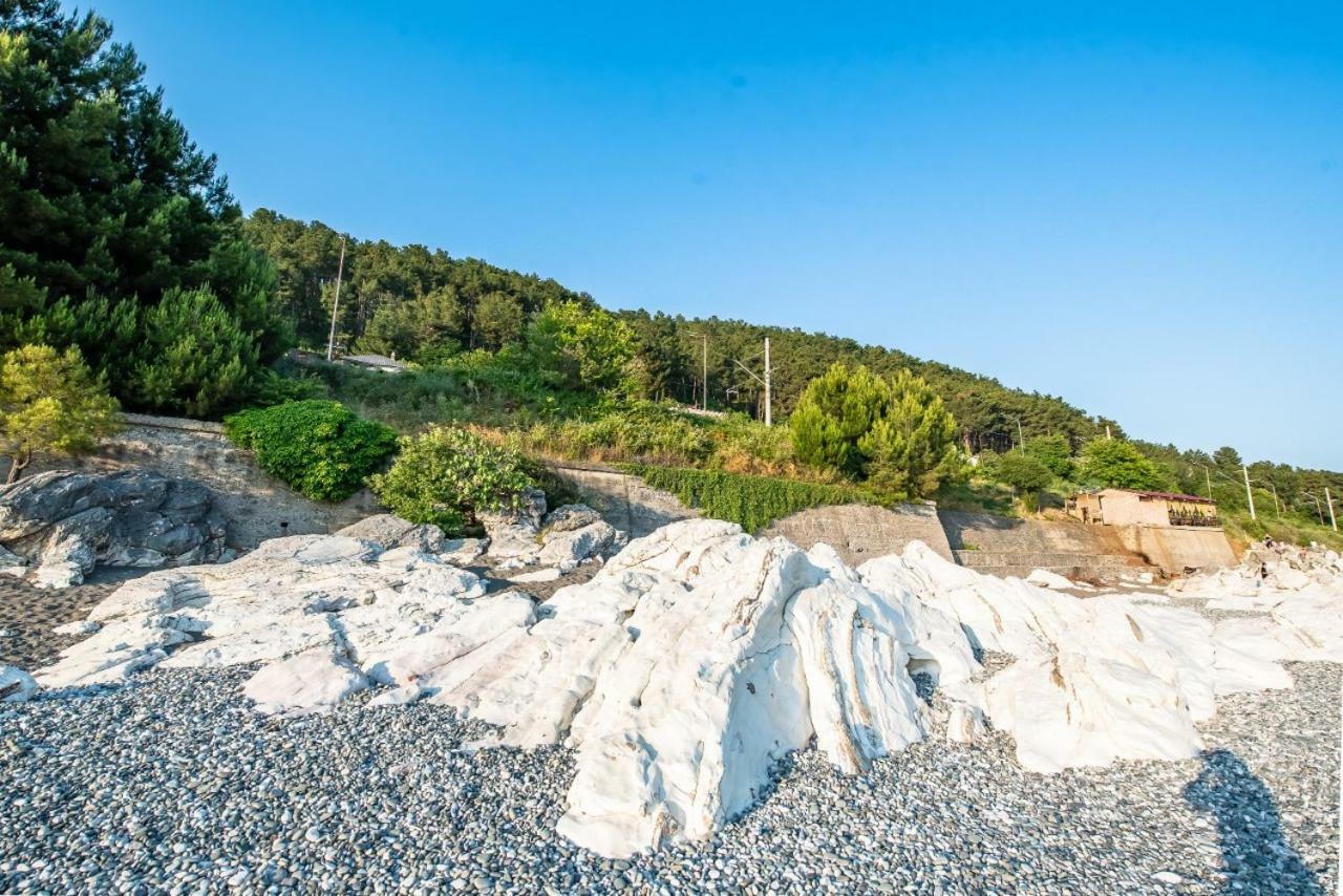 Park-Hotel Abkhazia Tsandrypsh Εξωτερικό φωτογραφία